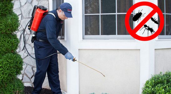 Çiftlikköy Karınca İlaçlama böcek ilaçlama ve haşere kontrolü — ilaclama-tr.com